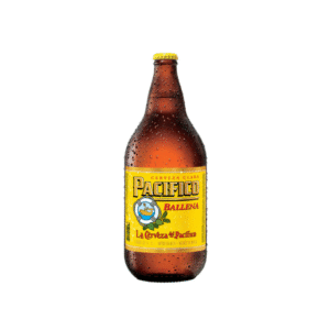 Pacifico Single Bottle